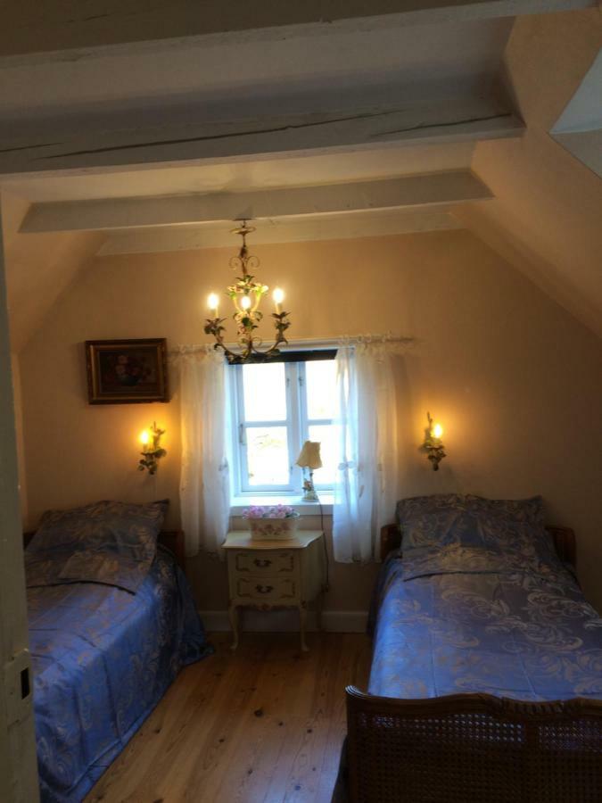 Pegasus Bed And Breakfast 헬싱 외부 사진
